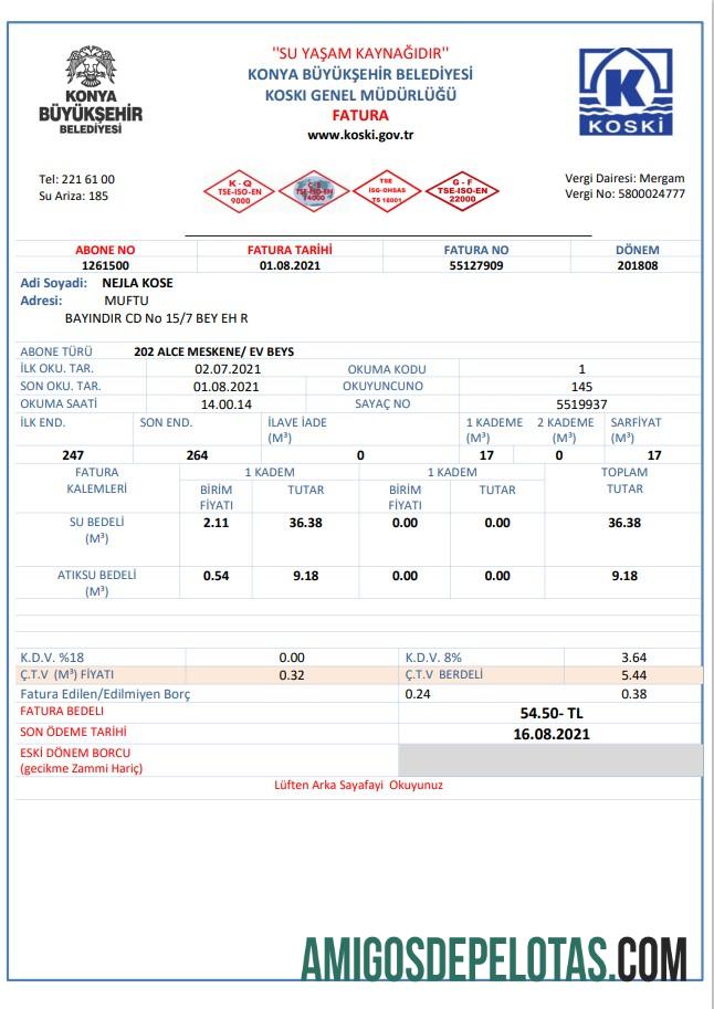 imprimível Modelo de conta de serviços públicos de água da Turquia em formato Word e PDF